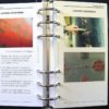 Fitz Atlas of Coating Defects